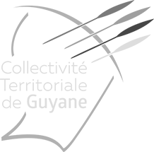 logo ctg